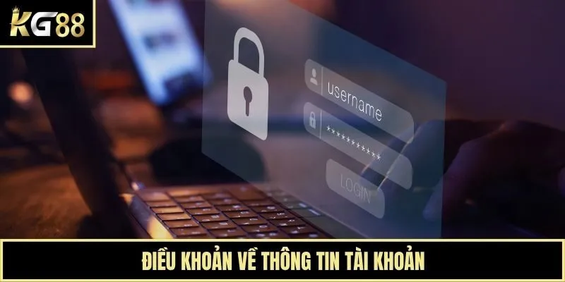 Điều khoản về thông tin tài khoản