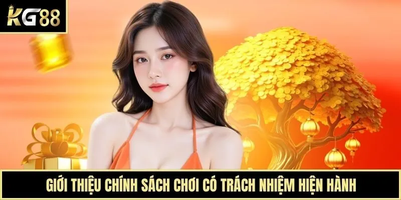 Giới thiệu chính sách chơi có trách nhiệm hiện hành